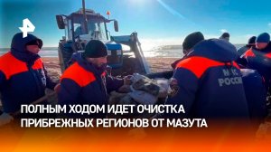 Более 26 км береговой линии очистили от мазута на Кубани / РЕН