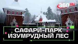 Филин, зубры, дикобраз – сафари-парк Изумрудный лес приглашает в гости