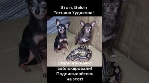 Мой канал Eteluin в Тикток заблокировали. Новый канал называется eteluin2. 18 декабря 2024 г.