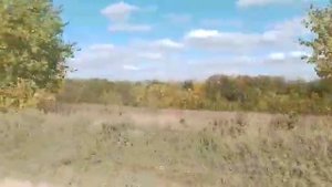 Степь да степь кругом, путь далёк лежит..