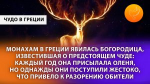 Монахам в Греции явилась Богородица, известившая о предстоящем чуде и оно случилось