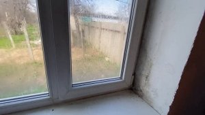 Домовладение в Краснодарском крае на побережье Динского залива, станица Запорожская #темрюкскийрайон