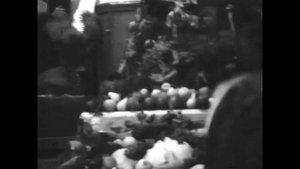 НЕУЖЕЛИ БЕЗ ПЛОДОВ