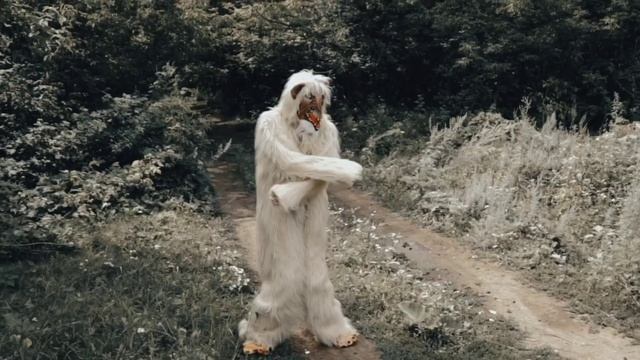 не Квадробер Авоськин  | Вервольф Авоськин | Архив |