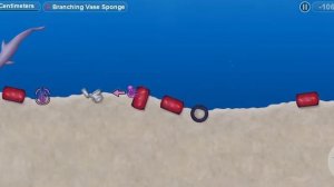 осьминог в океане