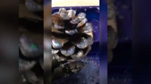 21-12-2024 легко и просто сделать снег на шишках для новогодней поделки