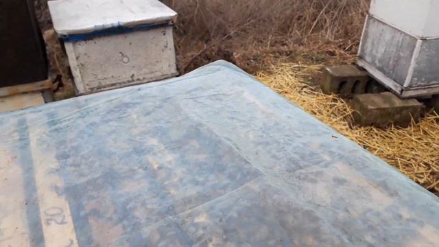 Улей 8  Весна  Канди  315. 00