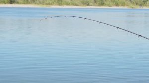 Фидер на сильном течении. Осенняя рыбалка