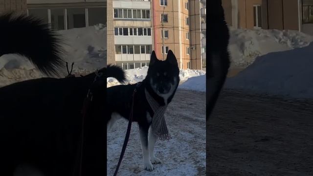 Досмотри до конца смотреть онлайн