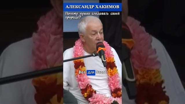 Почему нужно следовать своей природе? | АЛЕКСАНДР ХАКИМОВ #веды #александрхакимовлекции #харекришна