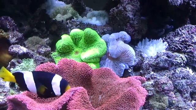 video-2010-10-23-20-55-25.3gp смотреть онлайн