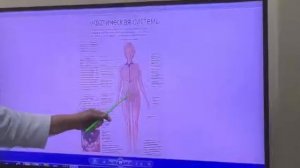 « Как предупредить развитие миастении»
