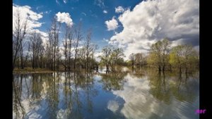 Давно простилась с нами юность