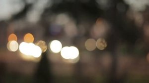 Юрий Каплан  Блог  Жестокость.The Fighter