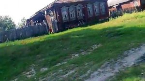 Агрессивные гуси [Aggressive geese attacks]