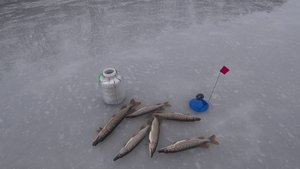 ЩУКА НА ЖЕРЛИЦЫ ПЕРВЫЙ ЛЁД ПРОДОЛЖАЕТСЯ хорошо оторвался по зубастой