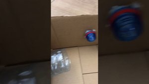 Как сделать головоломку для кошки из двух бутылок и коробки