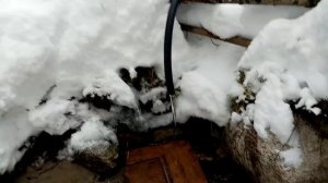 Лесной родник Карелия