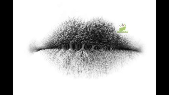 Тест, который раскрывает скрытые черты вашей личности.Ответ в коментариях смотреть онлайн