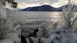 Хрустальные берега Алтын-Кёля в Алтайском заповеднике