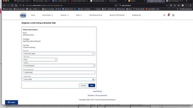 Registering a Cat смотреть онлайн