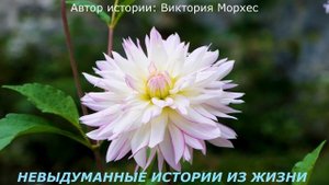 👍НЕУДАЧНИЦА🟥Невыдуманные истории  из жизни🟥Аудиорассказ🟥Истории  из жизни