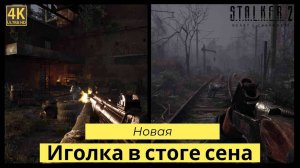 STALKER 2: Heart of Chornobyl прохождения Иголка в стоге сена