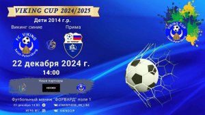 ФК "Викинг синие" - ФК "Прима"/VIKING CUP, Игра №7, 22-12-2024 14:00