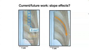 High-resolution Paleomagnetic Records from Speleothems using SQUID Microscopy, Caue Borlina, 2/28/2