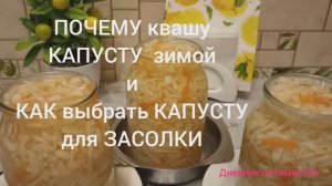 Капусту квашу зимой Как выбрать капусту Рассол