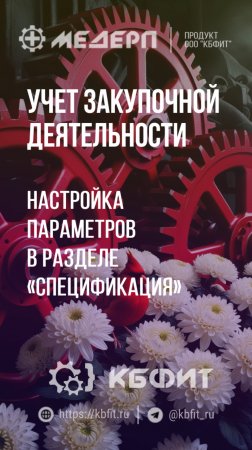 КБФИТ: МЕДЕРП. Учет закупочной деятельности: Настройка параметров в разделе «Спецификация»