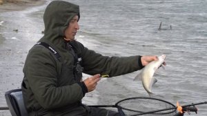 Лещ на фидер поздней осенью