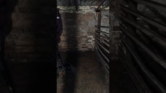 Чистка у Фантика ТГК - DanilaFermer #работа #рек #farming #farmlive #хозяйство #shorts  #свиньи