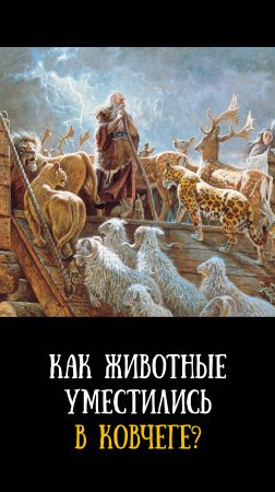 Как в ковчег уместилось так много животных?