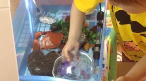 Украшение аквариума для черепашонка