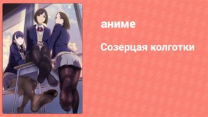 Созерцая колготки 7 серия (аниме-сериал, 2019)