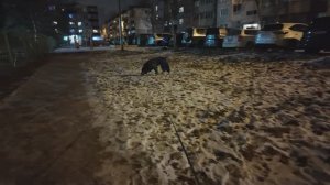 Тестирую камеру в ночное время. Видео камера DJI Osmo Pocket 3.