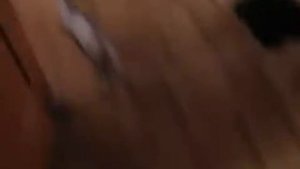 Кот обосрался от страха