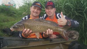 РЫБАЛКА НА КАРПА В ИЮЛЕ. КАРПФИШИНГ-CARPFISHING. БИТВА СТИЛЕЙ: ФЛЭТ ПРОТИВ КЛАССИЧЕСКОГО КАРПФИШИНГА