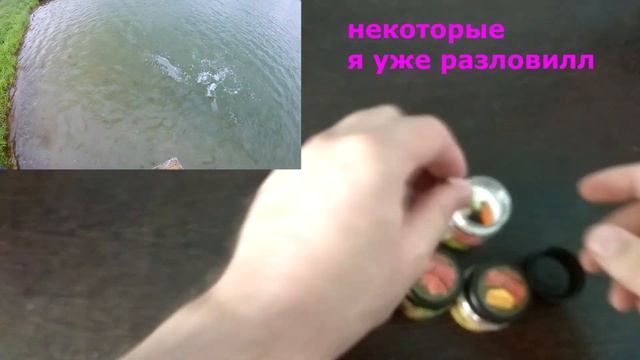 силиконовые приманки для ловли форели и других рыбёшек!