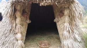 15043549-hd_1920_1080_30fps