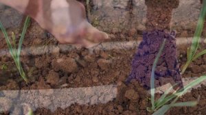 Krazy Krok Productions - Happy Thanksgiving Special (2020) - Farm Words and Animal Puppets