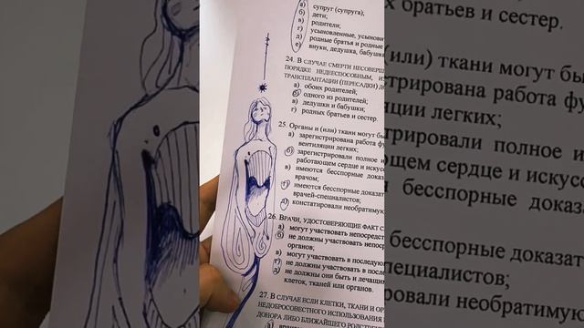 More art lessons do music song