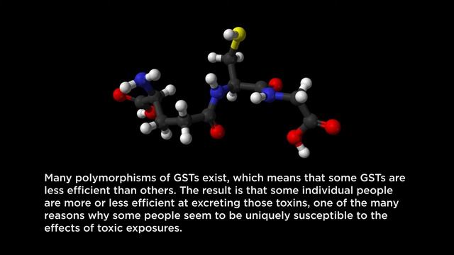 Detoxification Mechanisms in the Human Body смотреть онлайн