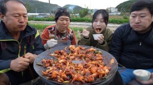 안면도에서 직접 낚시한 싱싱한 갑오징어와 쭈꾸미로 솥뚜껑 볶음요리! (Stir-fried Cuttlefish) 요리&먹방! - Mukbang eating show