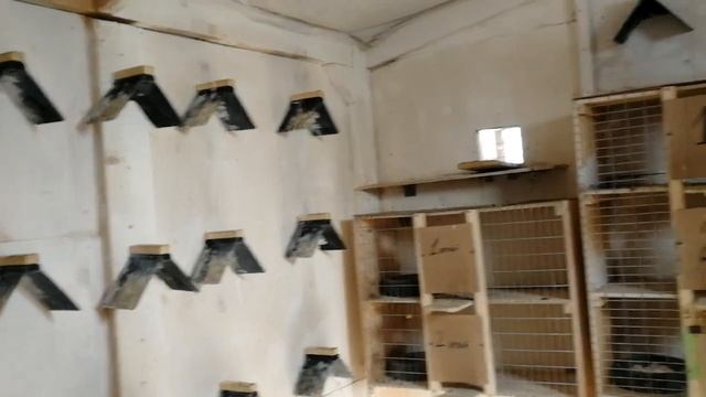 Санитарный день..mp4 смотреть онлайн