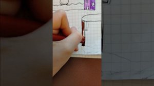 комната отдыха для топо лапок