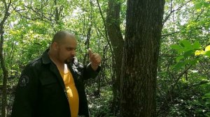 Как защититься от нападения настоящего оборотня в лесу RI8VO1rKMMQ 1920x1080