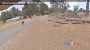 Armed Felon Shoots K9 During Foot Pursuit (1)
