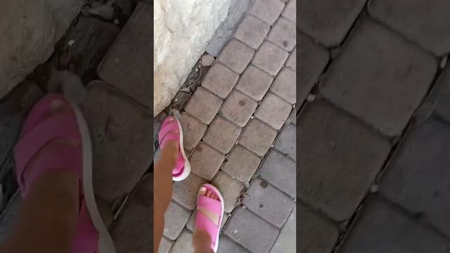 Охрана природы очень важна 💪 мусор природе вредит